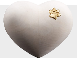 Urne animali in legno