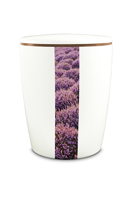 URNA-CINERARIA.