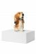 Urna cineraria per animali 'Normand Basset hound'