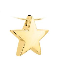Ash jewel pendant 14 krt. yellow golden four-leaf clover (zirconia stones)