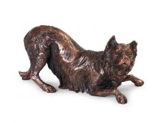 Urna per cani Border Collie
