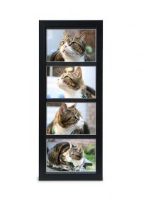Cornice fotografica cineraria per animali domestici