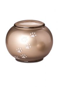Urna cineraria per animali in cristallo