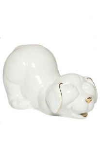 Urna cineraria per cane