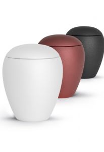 Mini urna cineraria in diversi colori e dimensioni