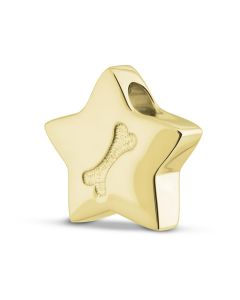 Pendente di ceneri in oro giallo 14 carati