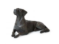Urna cineraria per cani 'Rhodesian Ridgeback'