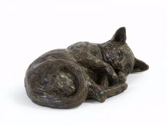 Urna cineraria per gatti