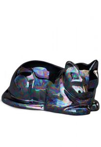 Urna in ceramica gatto in vari colori