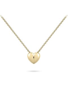 Ciondolo commemorativo Cuore placcato oro giallo con catena - SALDI