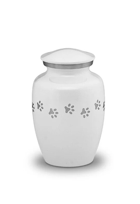 URNA-CINERARIA.