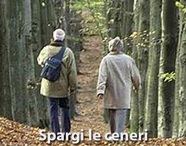 Spargi le ceneri | Legend-Corporation
